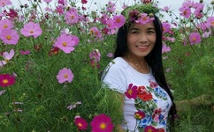 女人的阴性图片 大全